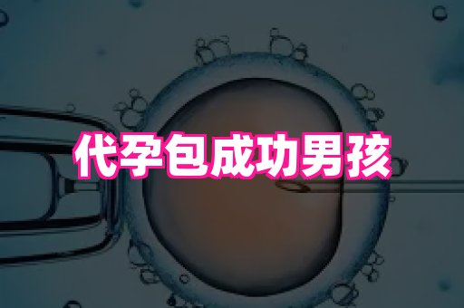 杭州助孕网 1