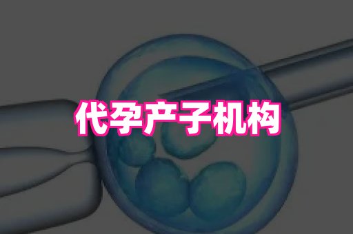 杭州助孕网 3