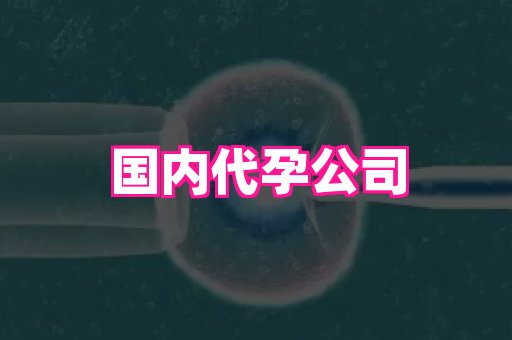 杭州助孕网 4