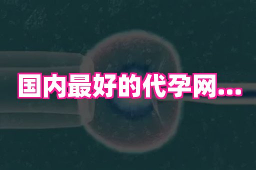 杭州助孕网 4